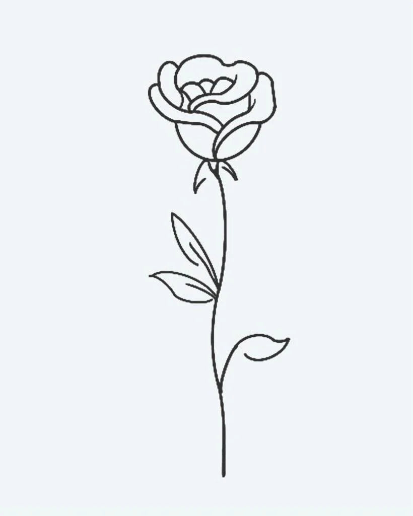 Single Rose