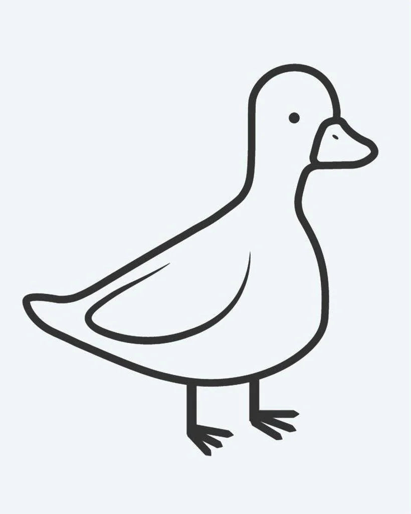 Little Duck