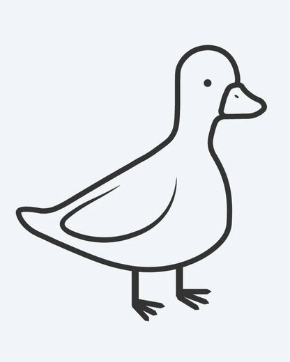 Little Duck