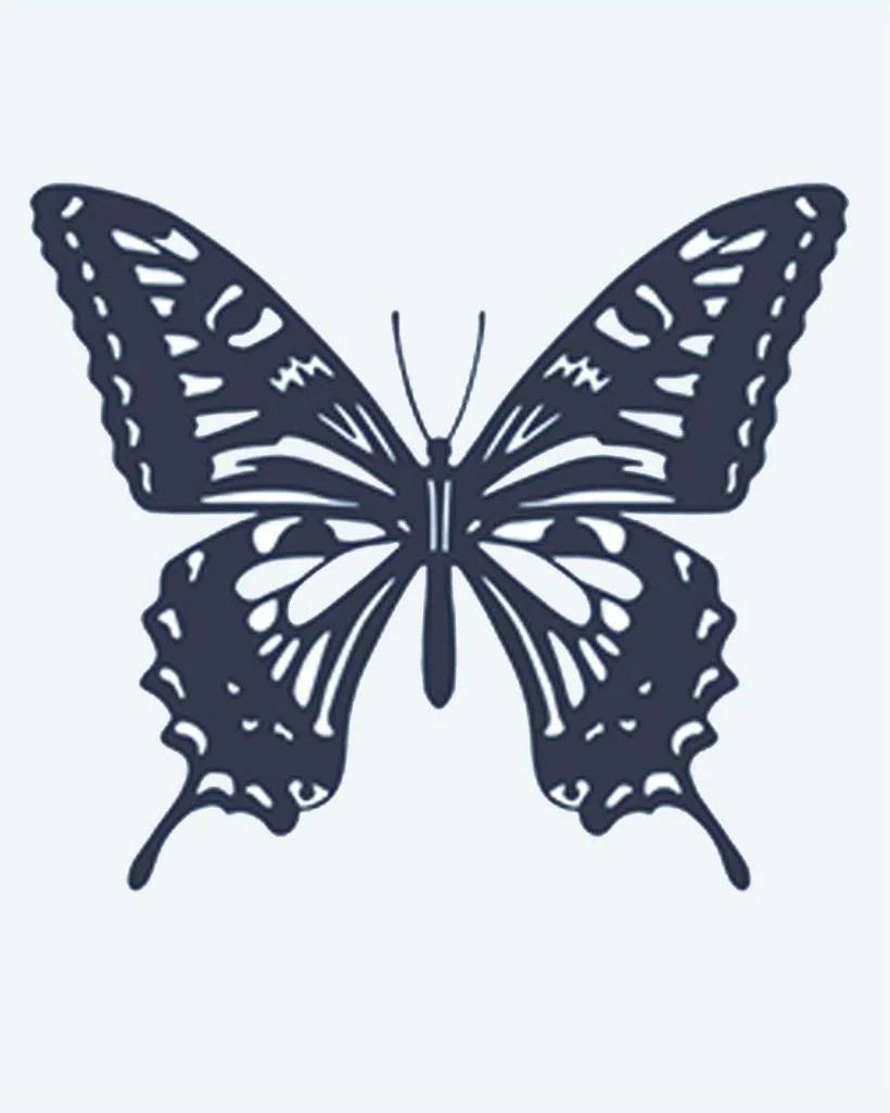 Swallowtail Butterfly