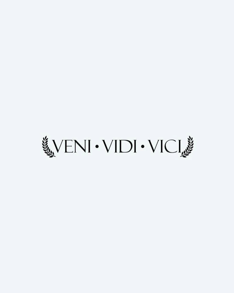 Veni Vidi Vici