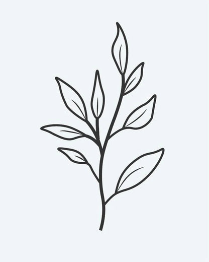 Leaf Branch