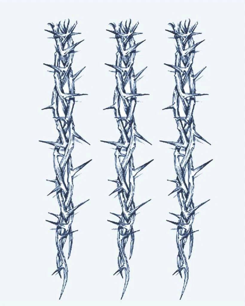 Thorn Vine Bands