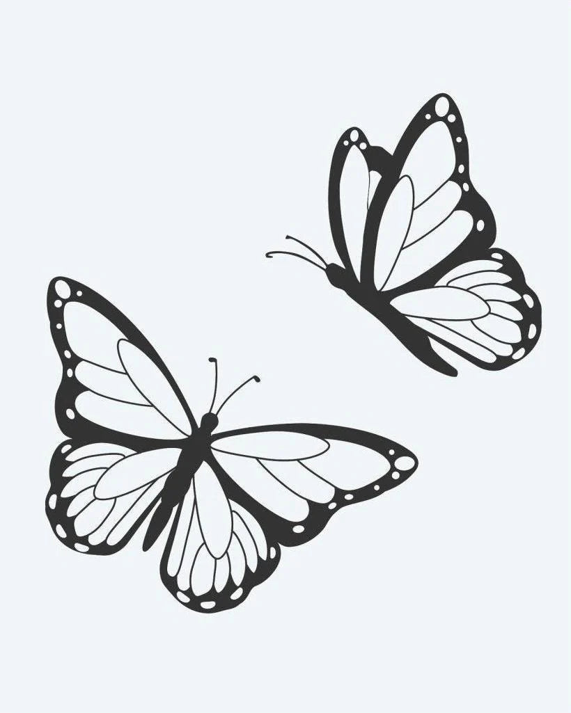 Butterfly Pair