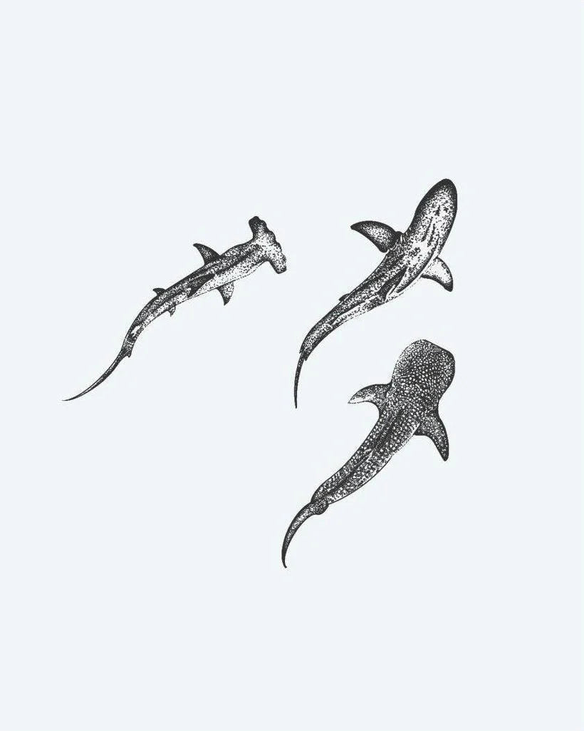 Three Sharks