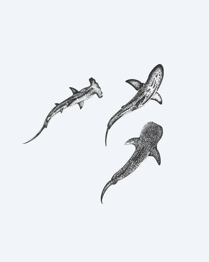 Three Sharks