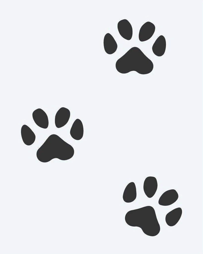 Paw Print Trail