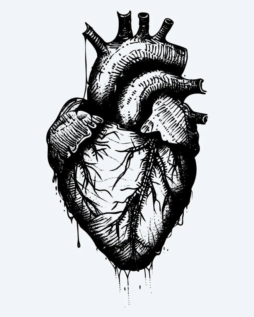 Anatomical Heart