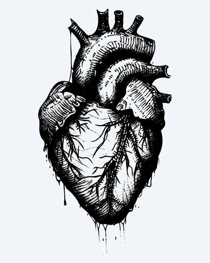 Anatomical Heart