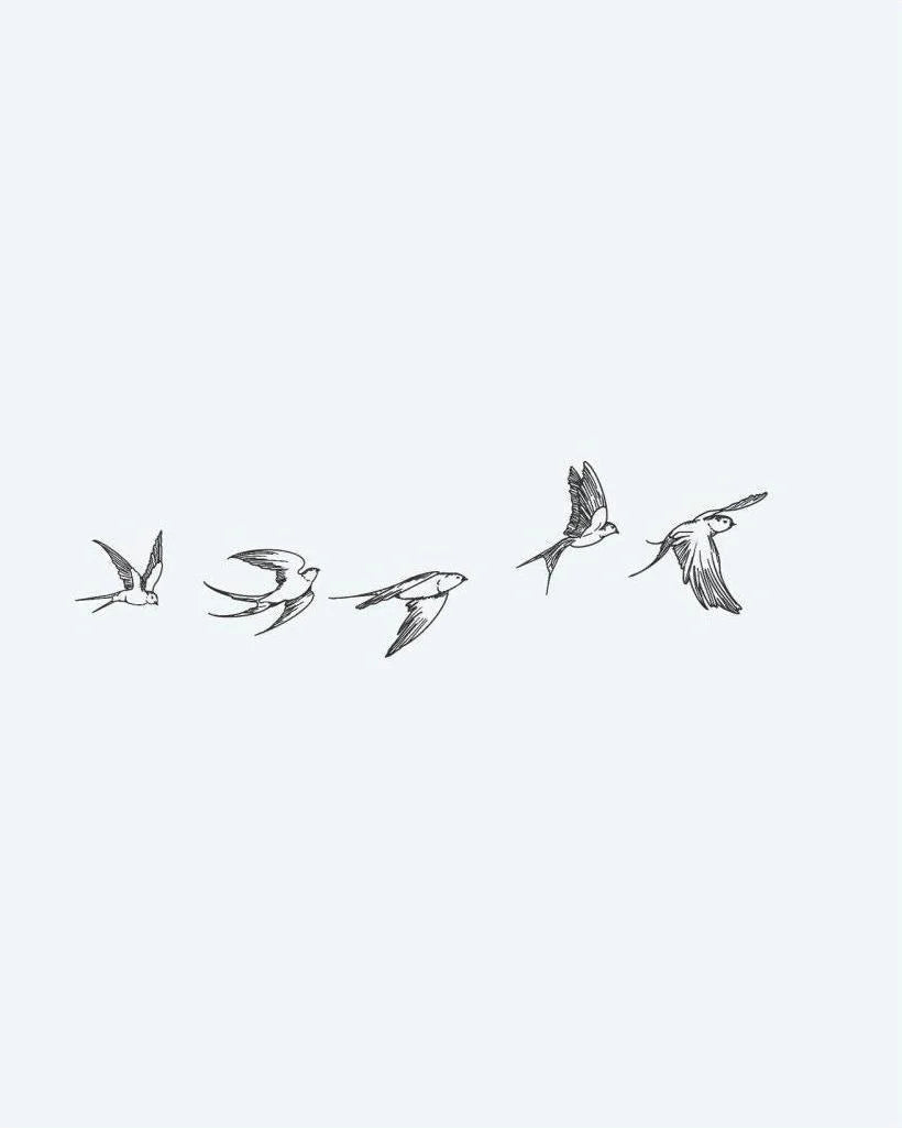 Flying Swallows