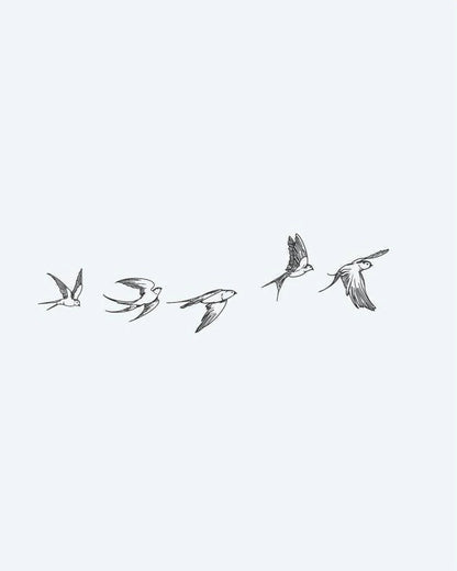 Flying Swallows