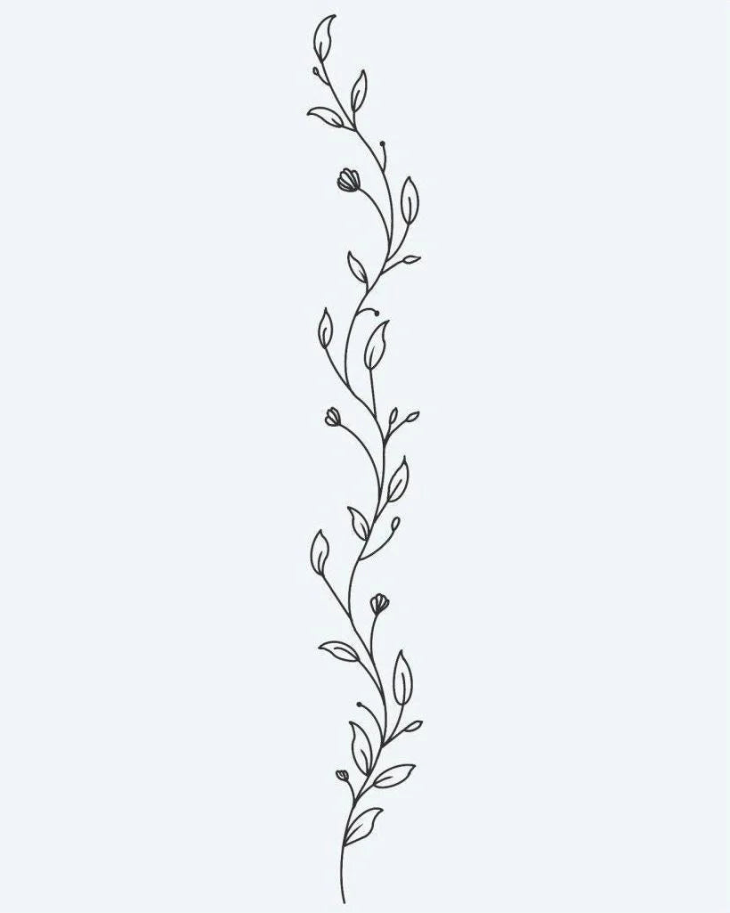 Botanical Vine
