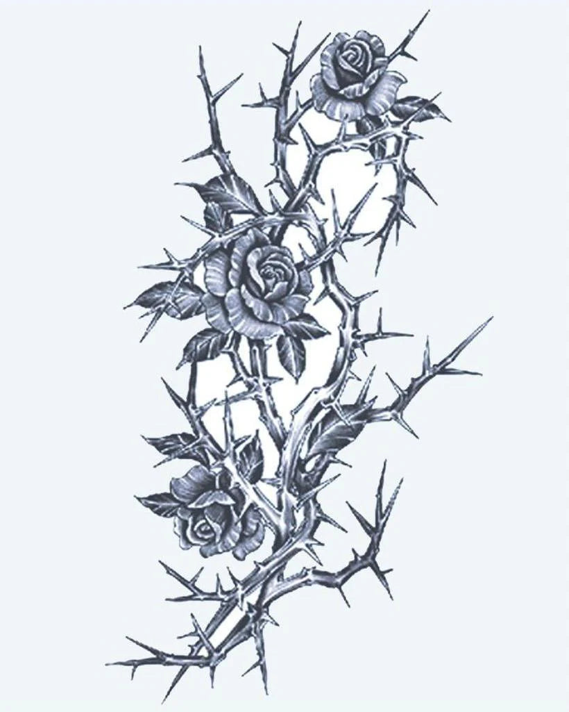 Roses & Thorns