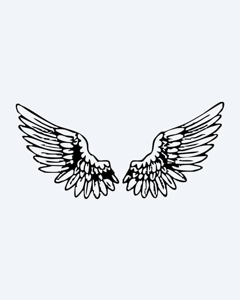 Angel Wings Pair