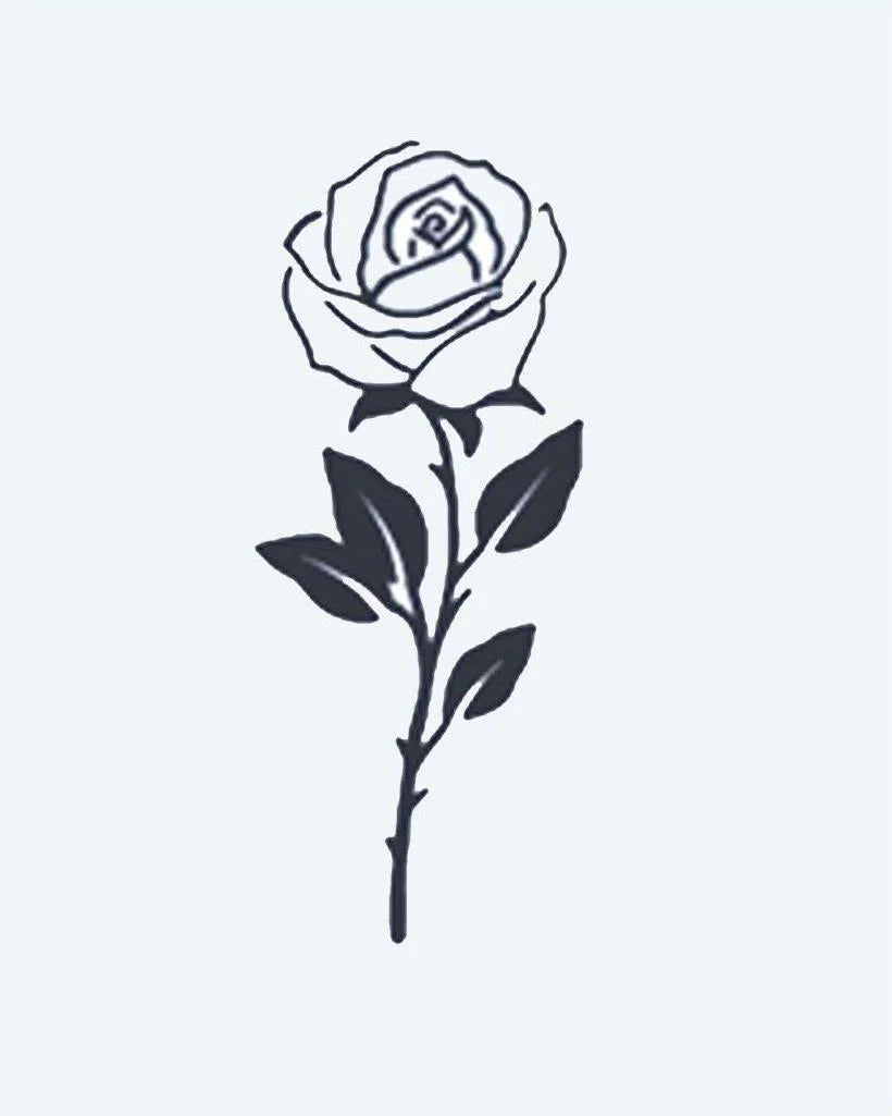 Single Stem Rose