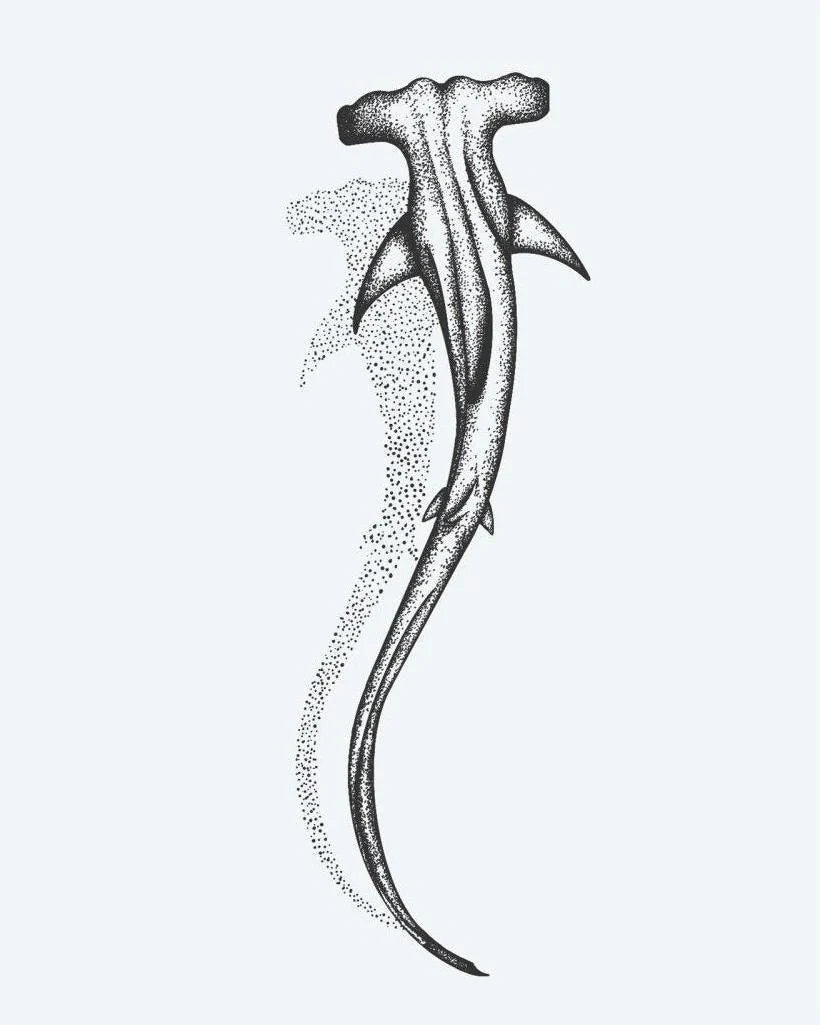 Hammerhead Shark